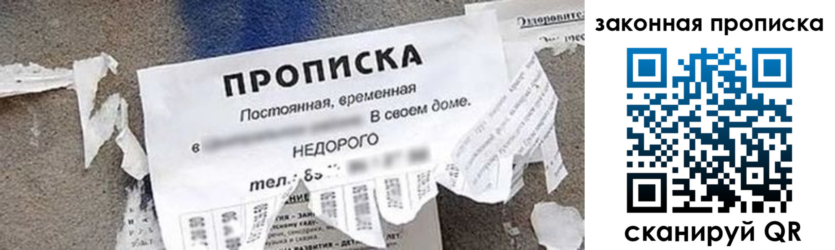 прописка иностранных граждан в Химках